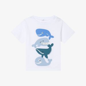 Stella tshirt sharks